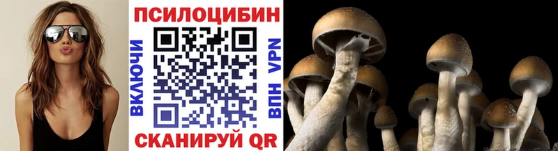 ссылка на мегу зеркало  Корсаков  Псилоцибиновые грибы мухоморы 
